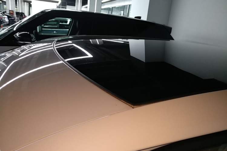 Used Volkswagen ID.UNYX 2025 Pure Model Roof