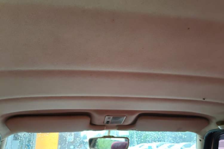 Used Volkswagen Jetta 2006 GIF Avant-Garde Millionth Anniversary Edition Headliner