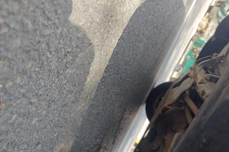 Used Volkswagen Jetta 2010 1.6L Partner Chassis Rear Right