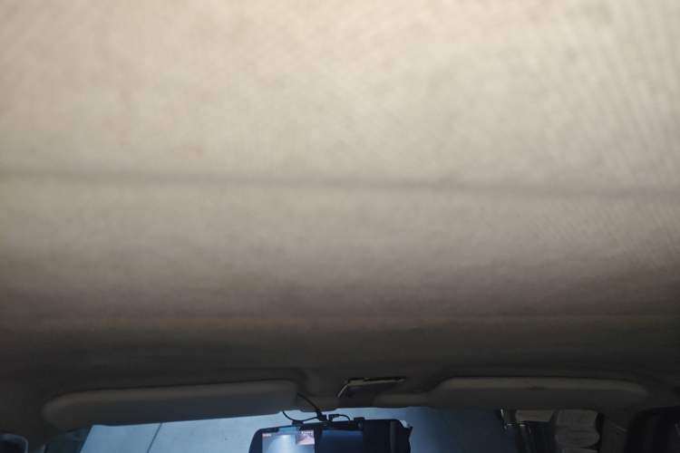 Used Volkswagen Jetta 2010 1.6L Partner Headliner