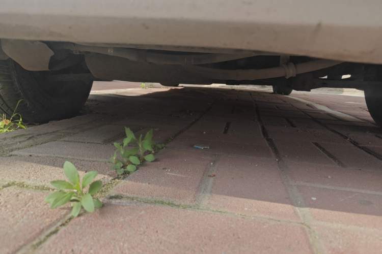 Used Volkswagen Jetta 2010 1.6L Partner Chassis Front
