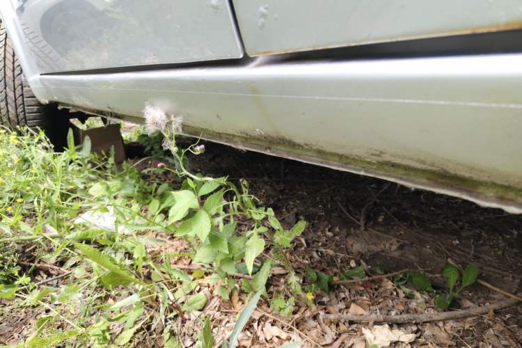 Used Volkswagen Jetta 2010 1.6L Partner Chassis Rear Left