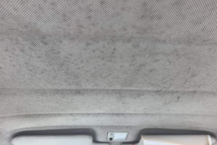 Used Volkswagen Jetta 2010 1.6L Partner Headliner
