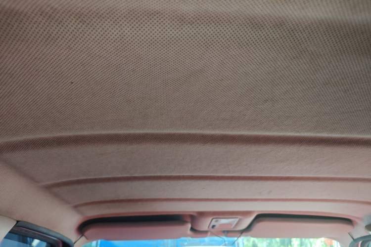 Used Volkswagen Jetta 2010 1.6L Partner Headliner