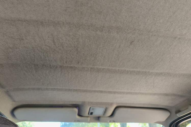 Used Volkswagen Jetta 2010 1.6L Partner Headliner