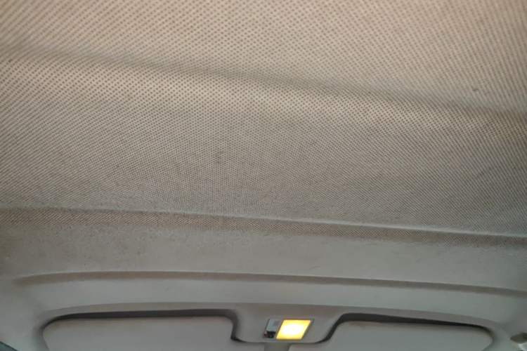 Used Volkswagen Jetta 2010 1.6L Partner Headliner