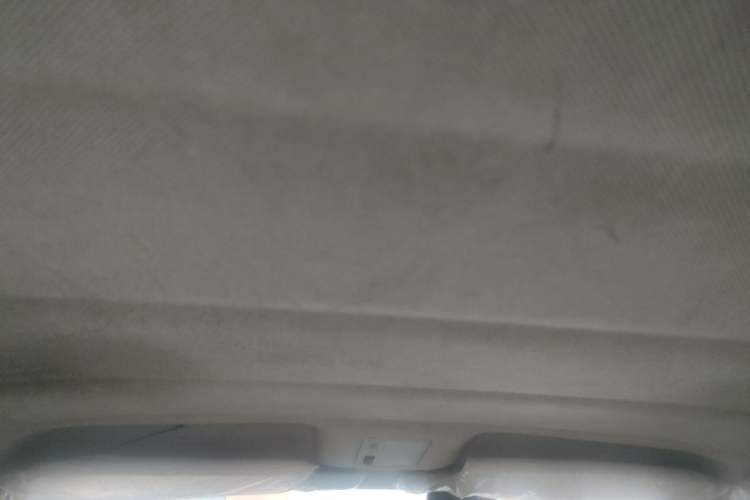 Used Volkswagen Jetta 2010 1.6L Partner Headliner
