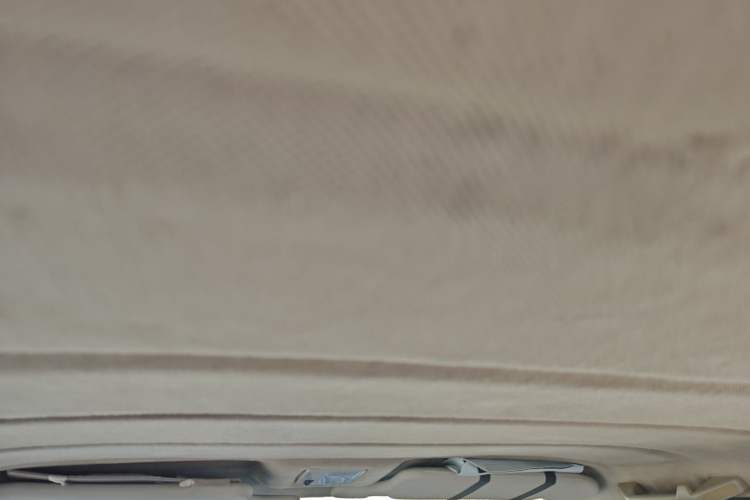 Used Volkswagen Jetta 2010 1.6L Partner Headliner