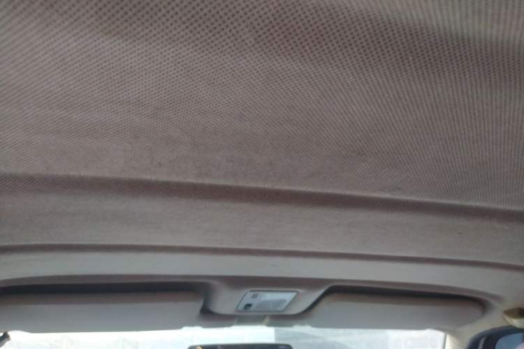 Used Volkswagen Jetta 2012 1.6L Commemorative Edition Headliner