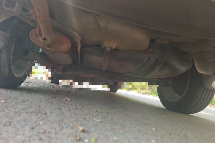 Used Volkswagen Jetta 2012 1.6L Collector's Edition Chassis Rear