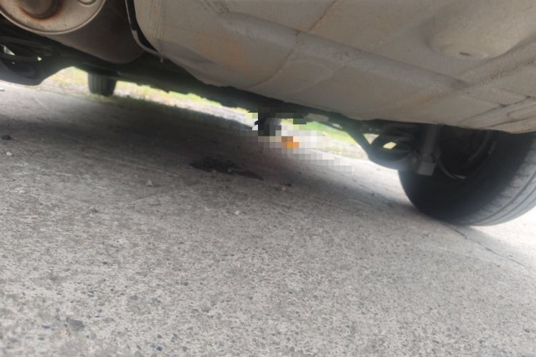 Used Volkswagen Jetta 2015 1.4L Manual Fashion Model Chassis Rear