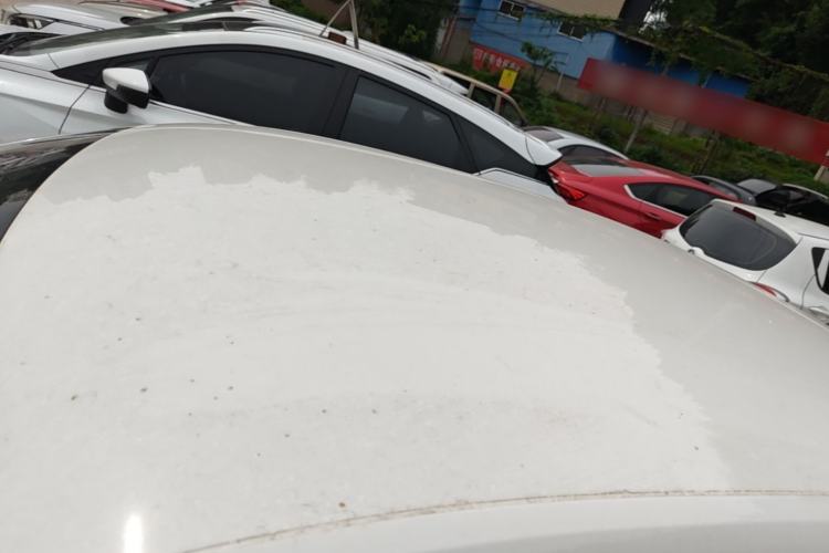 Used Volkswagen Jetta 2015 1.6L Manual Fashion Edition Roof