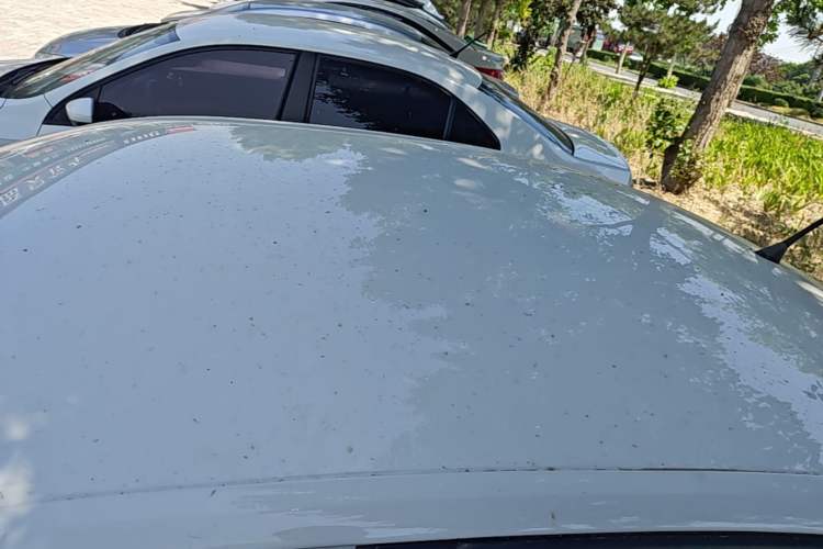 Used Volkswagen Jetta 2017 1.5L Automatic Fashion Model Roof