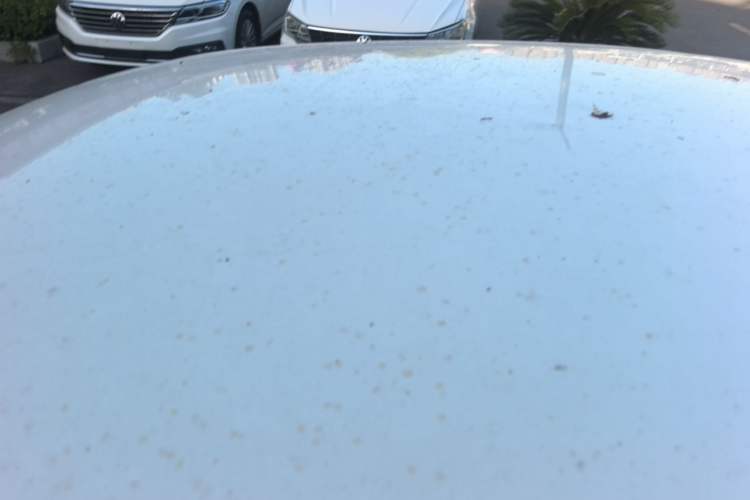 Used Volkswagen Jetta 2017 1.4L Manual Fashion Edition Roof