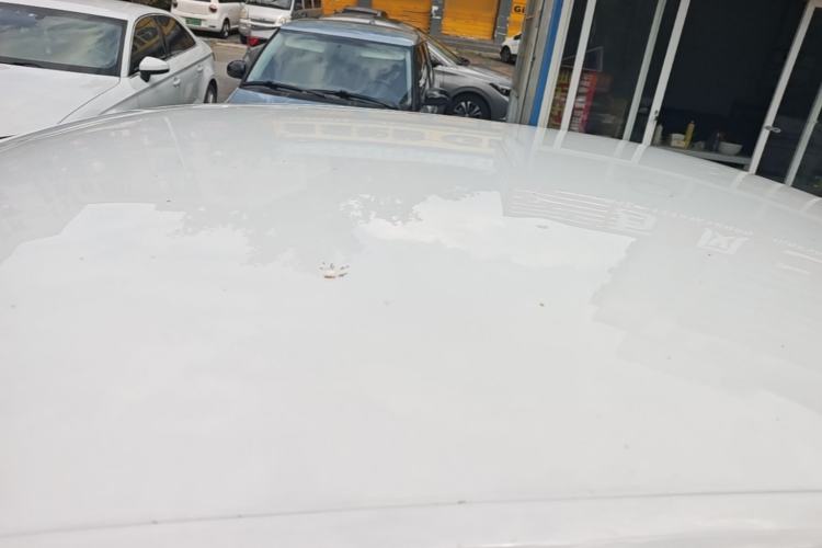 Used Volkswagen Jetta 2017 1.4L Manual Fashion Edition Roof