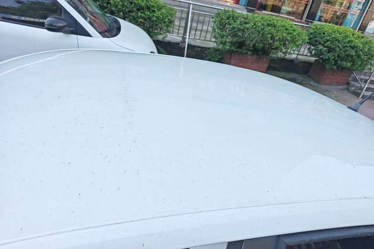 Used Volkswagen Jetta 2017 1.4L Manual Fashion Edition Roof