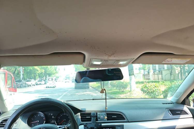 Used Volkswagen Lamando 2015 230TSI Manual Trend Edition Headliner