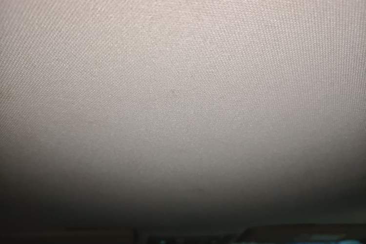 Used Volkswagen Lamando 2015 230TSI Manual Trend Edition Headliner