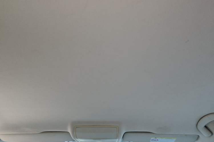 Used Volkswagen Lamando  Headliner