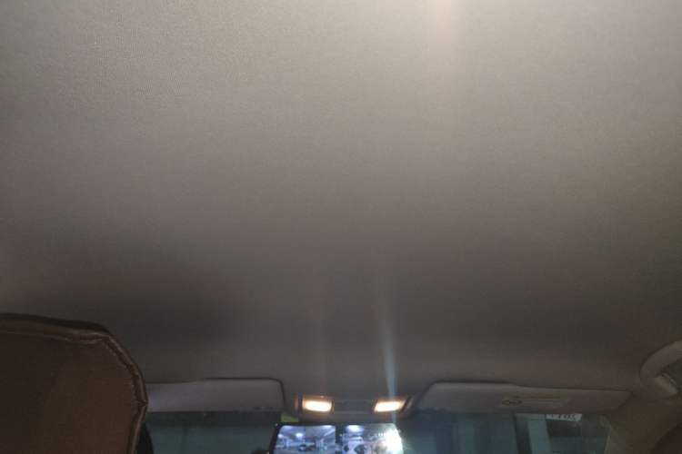 Used Volkswagen Lamando 2015 230TSI Manual Trend Edition Headliner