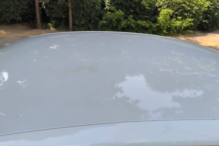 Used Volkswagen Lamando 2017 230TSI DSG Fashion Edition Roof