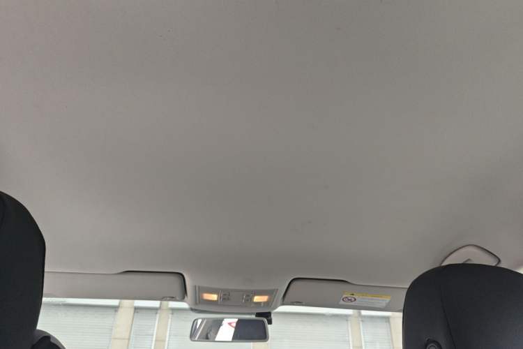 Used Volkswagen Lamando 2018 230TSI Manual Trend Edition Headliner