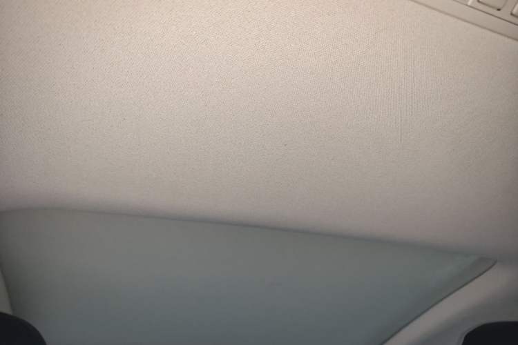 Used Volkswagen Lamando 2019 230TSI DSG Fashion Edition China VI Headliner