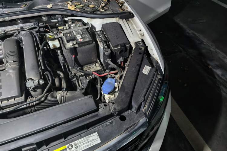 Used Volkswagen Lamando 2019 230TSI DSG Fashion Edition China V Standard Engine Bay Left