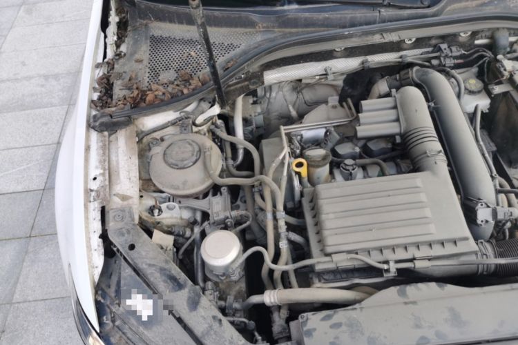 Used Volkswagen Lamando 2019 230TSI DSG Vision Edition China VI Standard Engine Bay Right