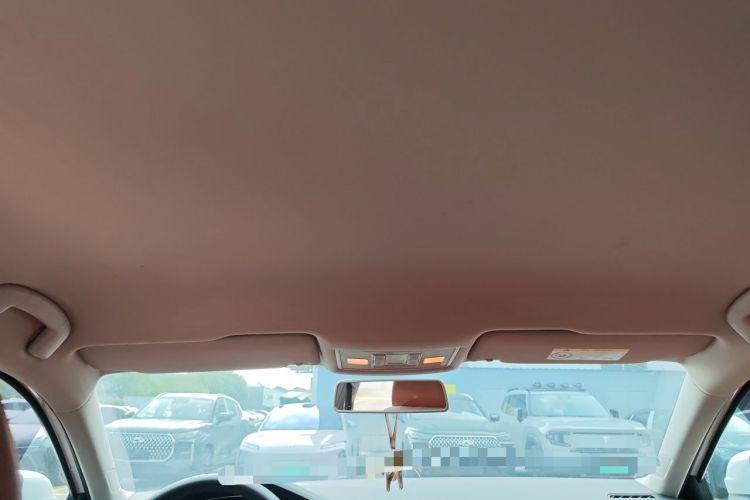 Used Volkswagen Lamando 2019 230TSI DSG Fashion Edition China VI Headliner