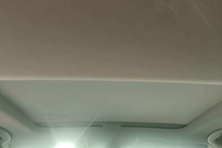Used Volkswagen Lamando 2019 280TSI DSG Luxury Edition China VI Standard Headliner