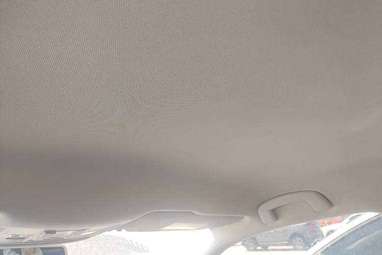 Used Volkswagen Lamando 2019 230TSI DSG Fashion Edition China V Standard Headliner