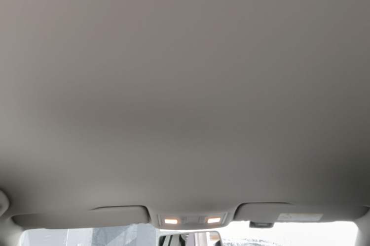 Used Volkswagen Lamando 2019 230TSI DSG Fashion Edition China VI Headliner