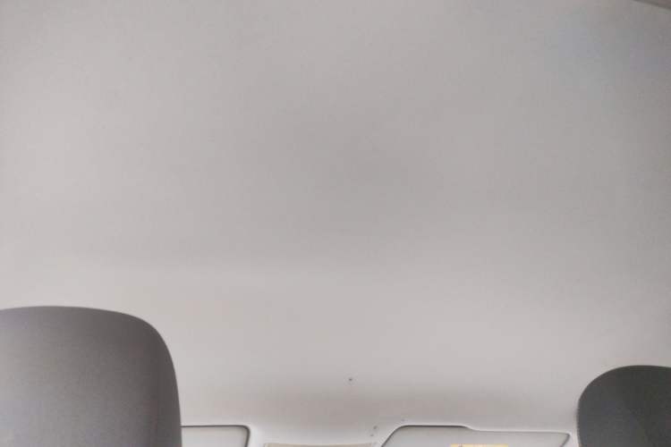 Used Volkswagen Lamando 2019 230TSI DSG Fashion Edition China VI Headliner