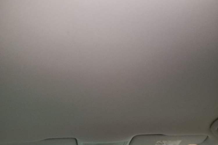 Used Volkswagen Lamando 2019 230TSI DSG Fashion Edition China VI Headliner