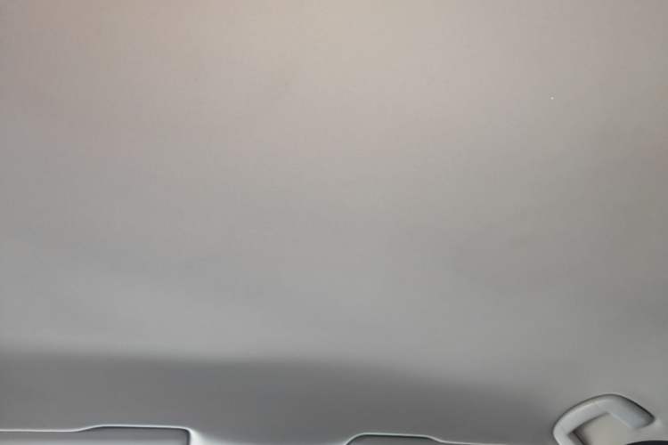 Used Volkswagen Lamando 2019 230TSI DSG Fashion Edition China VI Headliner
