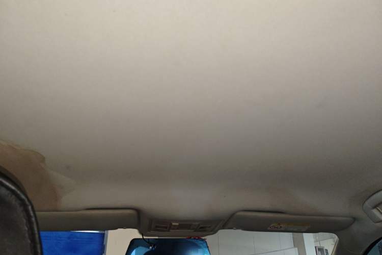 Used Volkswagen Lamando 2019 230TSI DSG Fashion Edition China VI Headliner