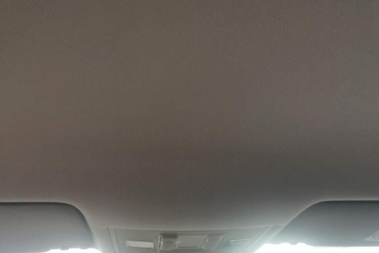 Used Volkswagen Lamando 2019 230TSI DSG Fashion Edition China VI Headliner