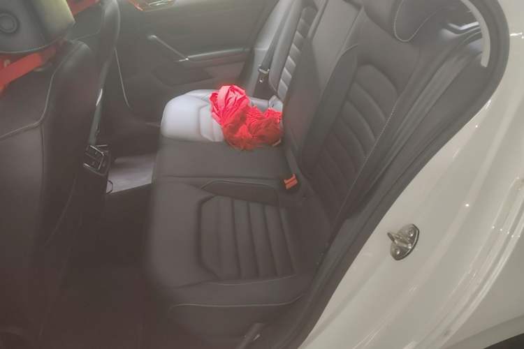 Used Volkswagen Lamando 2019 280TSI DSG Comfort Edition China VI standard Left Rear Seat