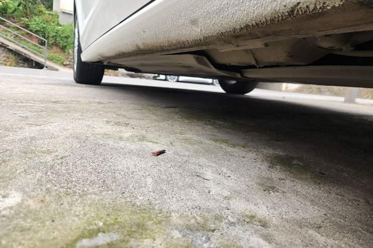 Used Volkswagen Lamando 2019 230TSI DSG Fashion Edition China VI Left Side Sill