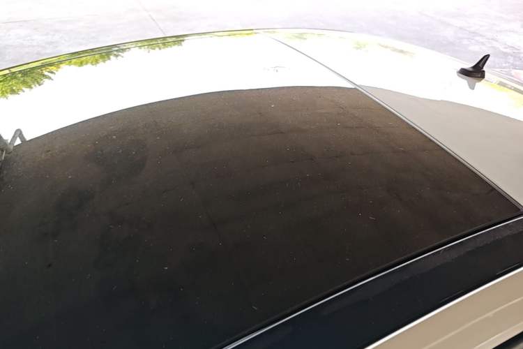 Used Volkswagen Lamando 2019 230TSI DSG Fashion Edition China VI Roof