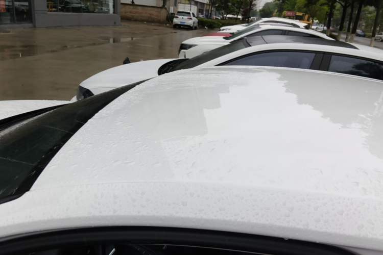 Used Volkswagen Lamando 2019 230TSI DSG Fashion Edition China VI Roof