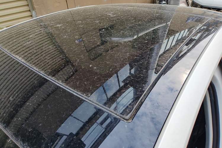 Used Volkswagen Lamando 2019 280TSI DSG Comfort Edition China VI standard Roof