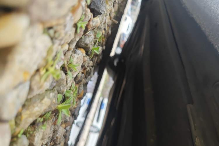 Used Volkswagen Lamando 2021 230TSI DSG Fashion Edition Chassis Front Right