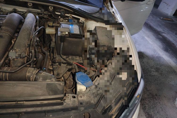 Used Volkswagen Lamando 2021 280TSI DSG Comfort Edition Engine Bay Left
