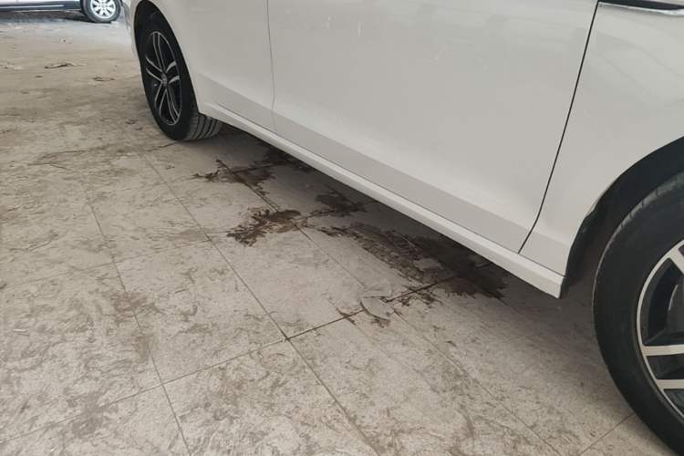 Used Volkswagen Lamando 2021 Revised Version 280TSI DSG Comfort Edition Right Side Sill
