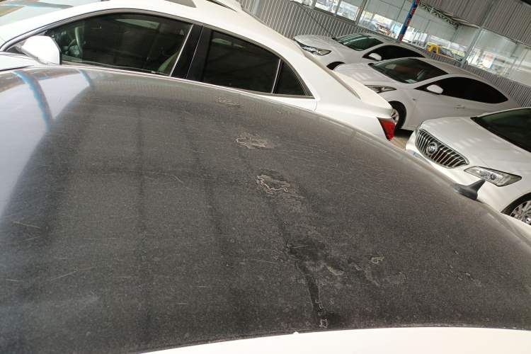 Used Volkswagen Lamando 2021 230TSI DSG Fashion Edition Roof