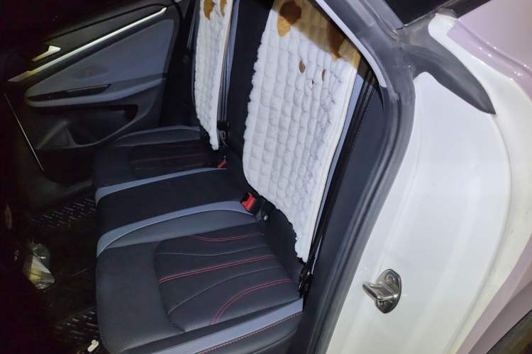 Used Volkswagen Lamando 2022 Lingdu L 280TSI DSG Spicy Edition Left Rear Seat