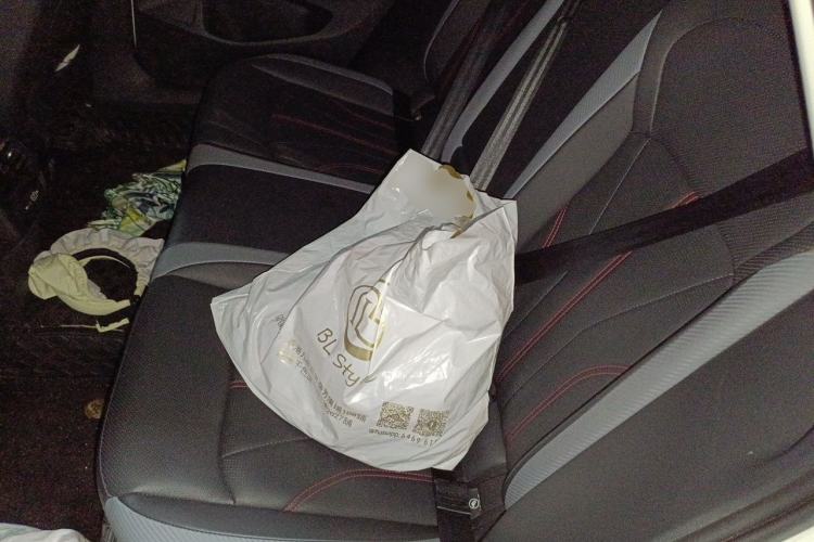 Used Volkswagen Lamando 2022 Lingdu L 280TSI DSG Spicy Edition Left Rear Seat