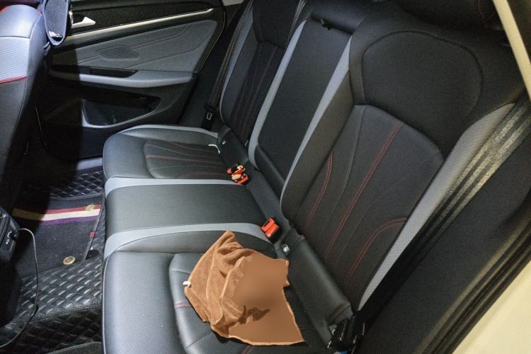 Used Volkswagen Lamando 2022 Lingdu L 280TSI DSG Spicy Edition Left Rear Seat